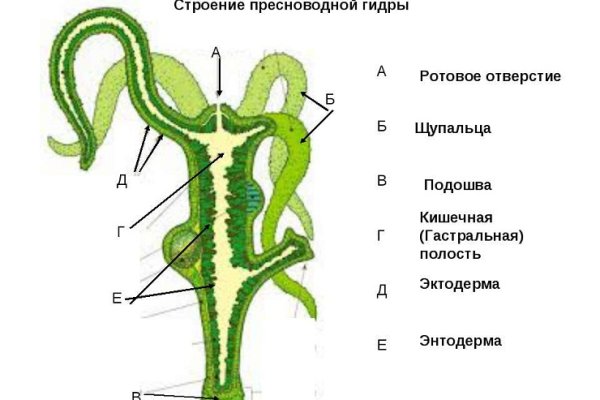 Ссылка на omgomgomg